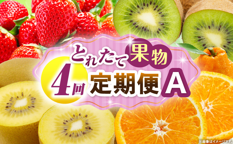 とれたて果物 4回定期便A 果物 フルーツ 果物定期便 フルーツ定期便 定期便 いちご キウイ デコポン濃厚 旬の果物 定期 人気 おすすめ 贈答 贈り物 青果物 糖度 香川県 _mk165-t074