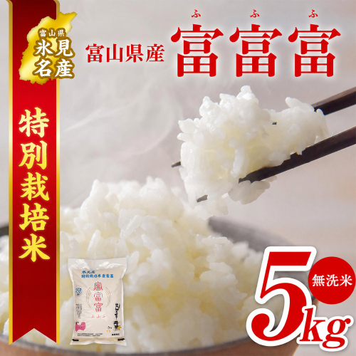 令和8年産 富山県産特別栽培米 富富富５kg 無洗米