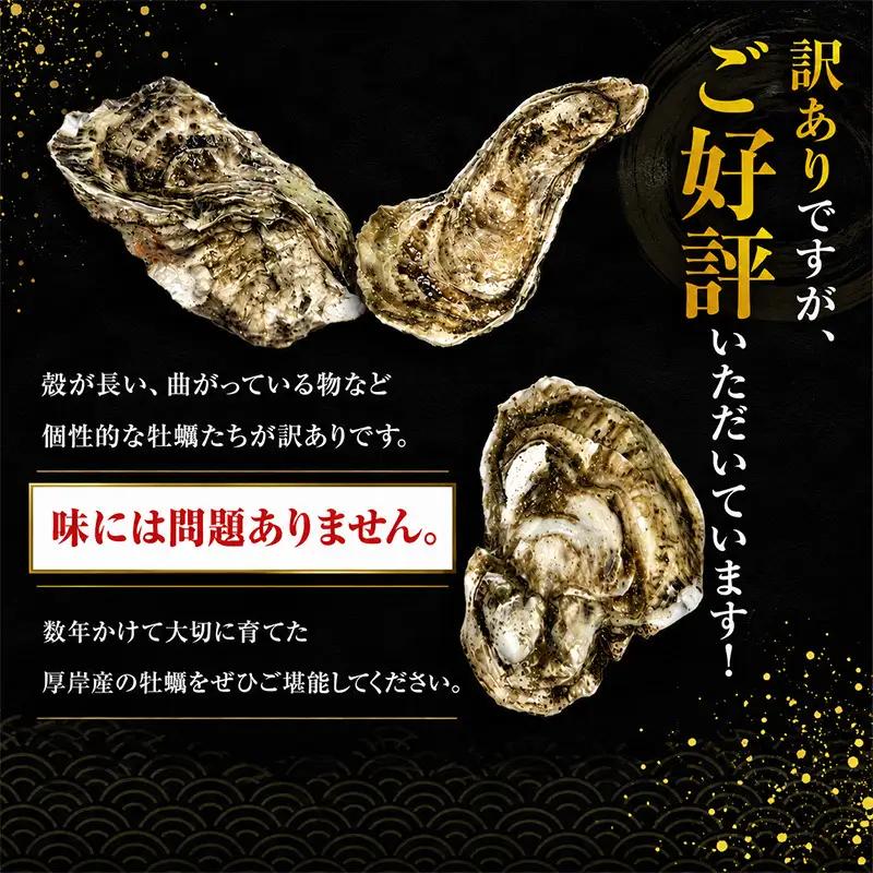牡蠣 訳あり 約4kg 生食 4月発送【他月は別ページ】 マルえもん 牡蠣