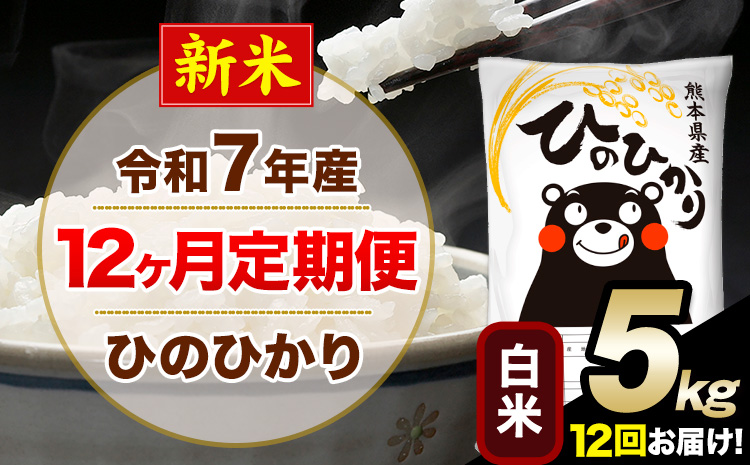 新米 令和7年産【12ヶ月定期便】 白米 ひのひかり 5kg 5kg×1袋《1月から出荷開始》熊本県産 単一原料米 南阿蘇村 ひのひかり 送料無料 熊本県 米 コメ こめ 国産---hn7tei_162000_5kg_jan12_mna_h---