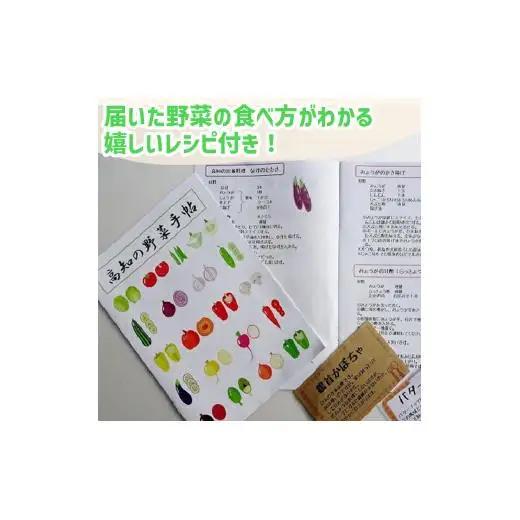 【早期予約】 野菜定期便 6ヶ月 7 ～ 10 品