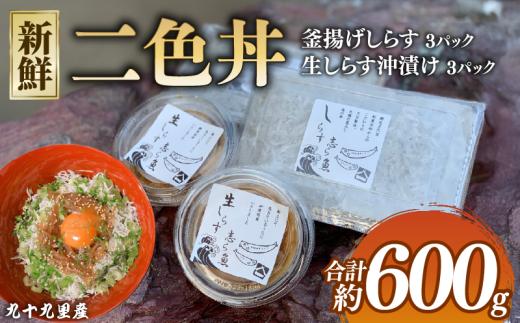 二色丼 生シラウオ沖漬け 釜揚げしらす セット 各3パック 合計600g しらす 白魚 シラウオ 釜揚げ 沖漬け 海鮮丼 魚介類 無添加 魚介 贈答 ギフト プレゼント 贈答 記念日 お祝い 送料無料 ふるさと納税 飯岡ヤマイチ水産-大納屋- メディア 千葉県 旭市
