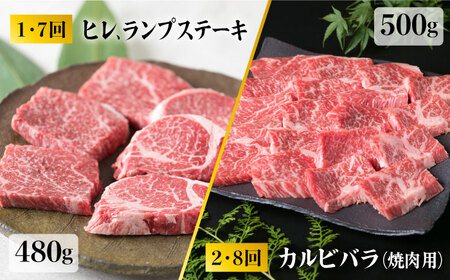【人気部位定期便】糸島黒毛和牛（博多和牛）セット全12回（月1回） 2人前 約6kg 糸島ミートデリ工房 《糸島》[ACA111] ステーキ ヒレ ヒレ肉 フィレ ヘレ 牛肉 赤身 黒毛和牛 和牛 ス