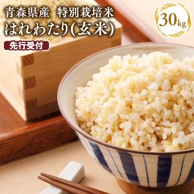 ふるさと納税 平川市 ≪令和9年1月発送≫　特別栽培米 はれわたり玄米30kg(10kg×3袋)【青森県 平川市】