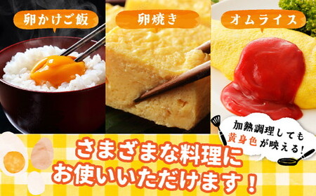 卵 霧の卵 30個 卵 卵 卵 卵 たまご たまご