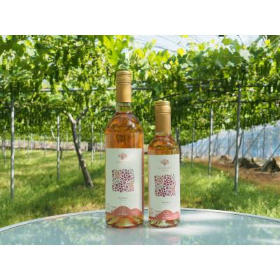 ふるさと納税 南陽市 【発送月固定定期便】フルーツ&加工品　1年満喫定期便全12回【S1180】 |  | 02