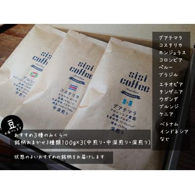 ふるさと納税 横須賀市 珈琲豆 銘柄おまかせ 3種 飲み比べセット 100g×3袋(豆のまま)