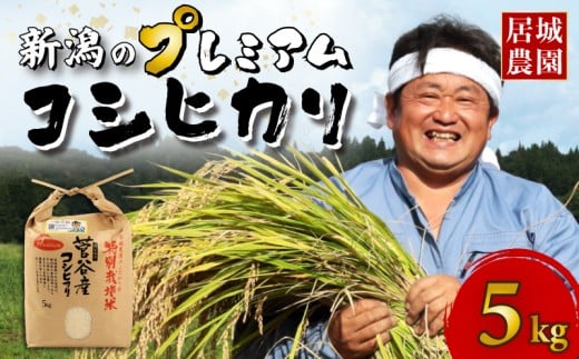 【2026年2月発送】プレミアム コシヒカリ 5kg 令和7年産 特別栽培米 こしひかり プレミアムコシヒカリ  精米 白米 ご飯 おにぎり 弁当 新潟県産 新発田産 菅谷産 新潟 米 お米 こめ 居城農園 菅谷 新潟県 米 新潟県 新発田市 D78_202602
