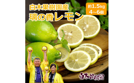 【先行予約】【訳あり】璃の香レモン ご家庭用 約1.5kg（4〜6個） 高知県土佐市 【株式会社SHIRAKI】 [BQAI023]