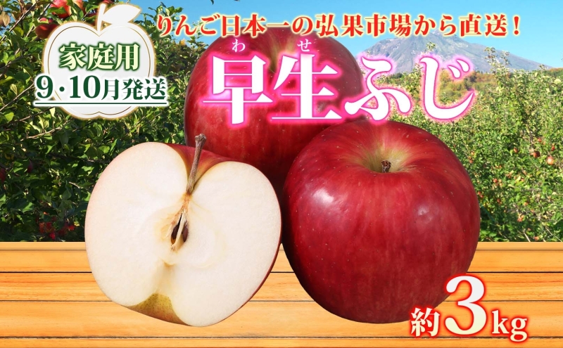 【9月・10月発送】家庭用 早生ふじ 約3kg【西目屋村産・青森りんご】 りんご 林檎 リンゴ 果物 フルーツ くだもの 旬 青森県産 お取り寄せ 詰め合わせ セット 常温 産地直送 送料無料 青森県 西目屋村