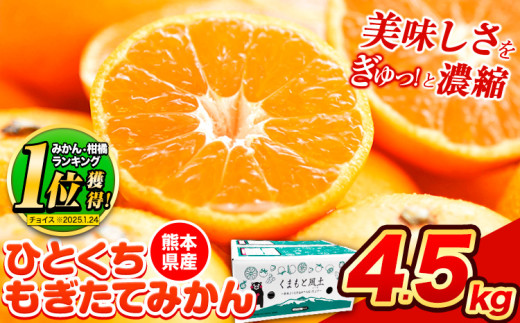 訳あり みかん ひとくちもぎたてみかん 約 4.5kg (4.5kg×1箱) S-3Sサイズ 訳あり ご家庭用 熊本県産 （荒尾市産含む） 期間限定 フルーツ 果物 旬 冬 柑橘 小玉 みかん《9月下旬-12月下旬頃出荷》