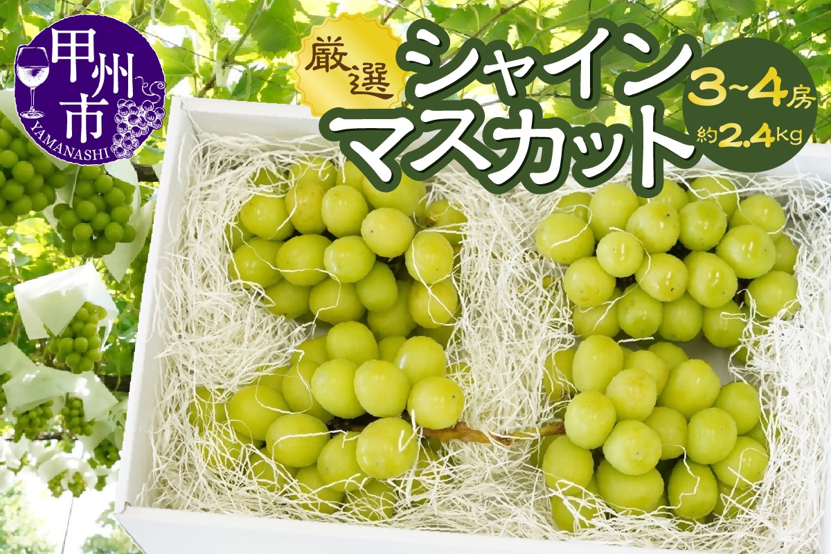 
                  山梨県甲州市産 シャインマスカット 約2.4kg（3～4房）／Inakakara【2026年発送】（ACP）C9-890【シャインマスカット 葡萄 ぶどう ブドウ 令和8年発送 期間限定 山梨県産 甲州市 フルーツ 果物】
                