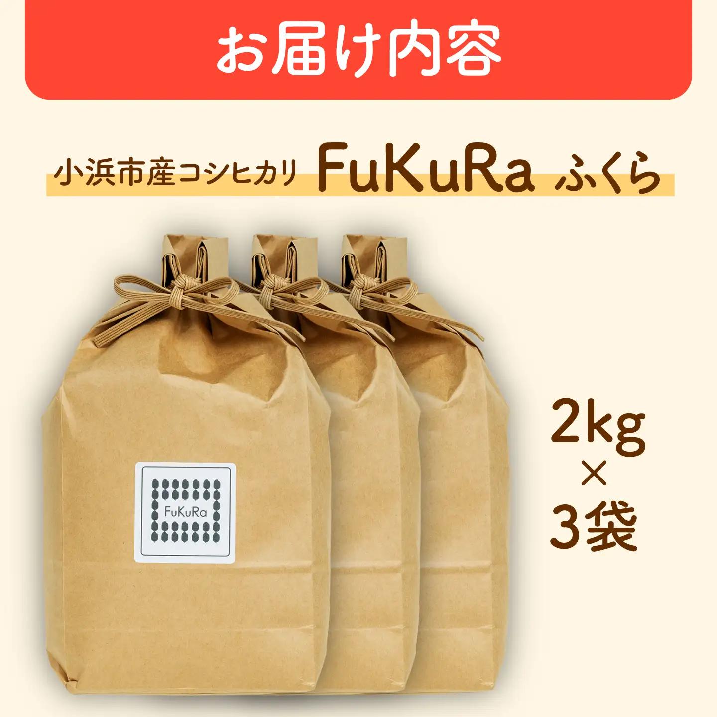 福井県産 こしひかり 『FukuRa』（ふっくら） 2kg×3袋 合計6.0kg[BFAV020]