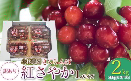 【令和8年産先行予約】【訳あり】さくらんぼ　紅さやか 2kg フードパック詰 Lサイズ　小林農園 さくらん坊
