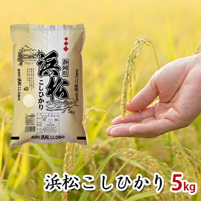 【ふるさと納税】【令和7年度産】静岡県浜松市産米　『浜松こしひかり』精米5kg お米 コシヒカリ