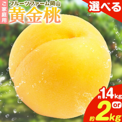 【ふるさと納税】【2026年先行予約】桃 黄金桃 ご家庭用 選べる内容量 1.4kg (4〜6玉) 2kg (5〜8玉) フルーツファーム岡山《2026年8月中旬-8月末頃出荷》岡山県 浅口市 送料無料 フルーツ モモ 果物 青果 旬 国産 岡山県産【配送不可地域あり】