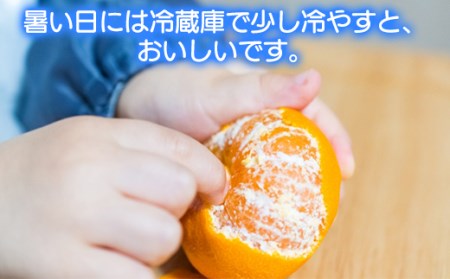 【期間限定発送】今村農園のハウスみかん 約5kg【秀品】 2025年 7月 夏 発送 期間限定 ＜107-008_7＞