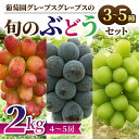 【ふるさと納税】【葡萄園グレープスグレープス】旬の葡萄の詰め合わせ 約2kg(3〜5品種、4〜5房）｜シャインマスカット、クインニーナ、ピオーネ、ゴルビー、サニードルチェ、雄宝、バイオレットキング、クイーンルージュ®、カッタクルガン、ルーベルマスカット、紅環など