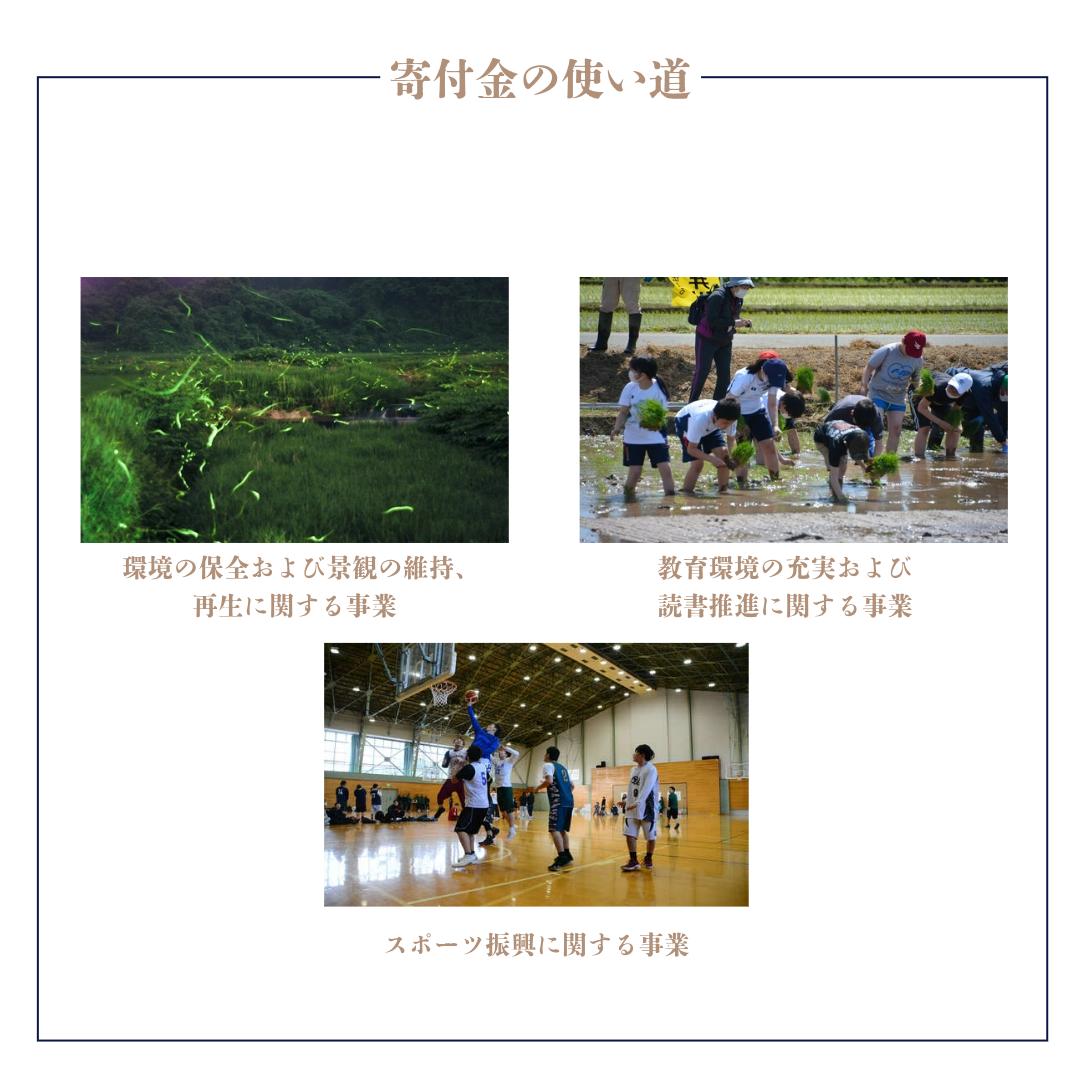 【令和７年分先行受付】とうもろこし　5本　秋田県井川町産　つかまファーム
