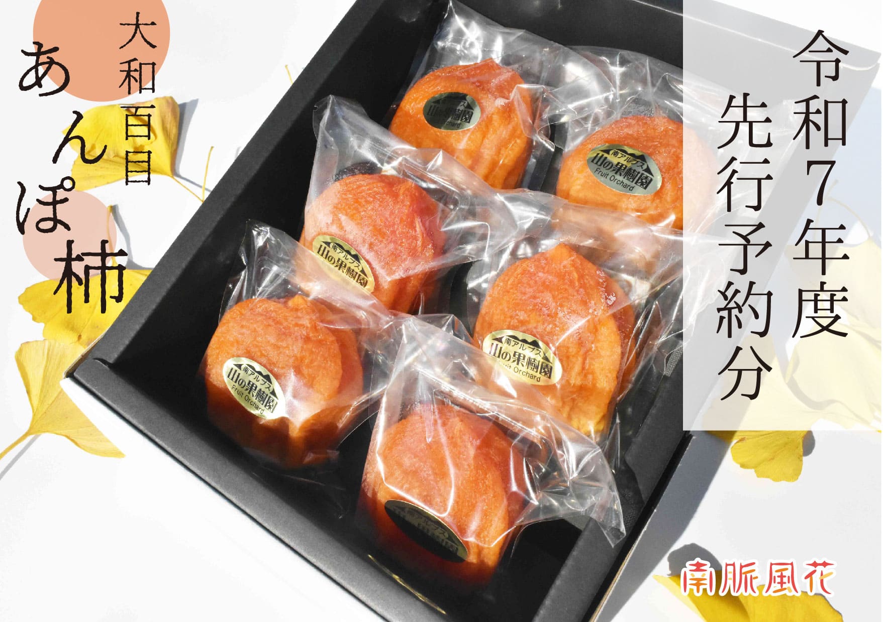 【ふるさと納税】＜2026年発送先行予約＞【無添加】大和百目あんぽ柿6個入 ALPAJ026