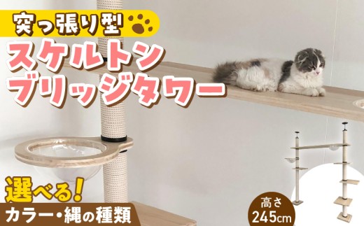 スケルトンブリッジタワーBLB-B1800（高さ245cm） _ キャットタワー スケルトン ブリッジタワー 突っ張り型 爪とぎ 猫 猫用 透明 クリアボウル 家具調仕上げ インテリア 重厚感 高級感 運動不足 ストレス 解消 安心 安全 耐久性 組立式 受注生産 日本製 国産 ペット用品 お取り寄せ 福岡県 久留米市 送料無料 _Qx091-02