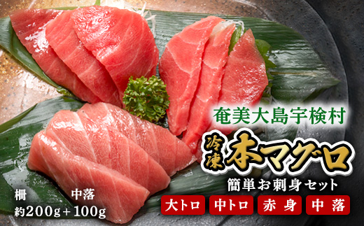 宇検村産 本マグロ 簡単 お刺身 セット 大トロ 中トロ 赤身 + 中落ち 柵 600g+100g 冷凍 養殖