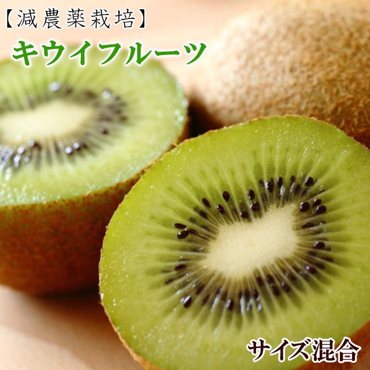 【ふるさと納税】［減農薬栽培］和歌山産キウイフルーツ約3kg（サイズ混合）★2026年2月中旬頃より順次発送