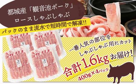 【お歳暮】観音池ポーク ロースしゃぶしゃぶ〈全部真空パック〉1.6kg≪11月17日～12月21日お届け≫_13-1506-WG_(都城市) 都城産 ブランドポーク 観音池ポーク ネッカリッチ 真空 