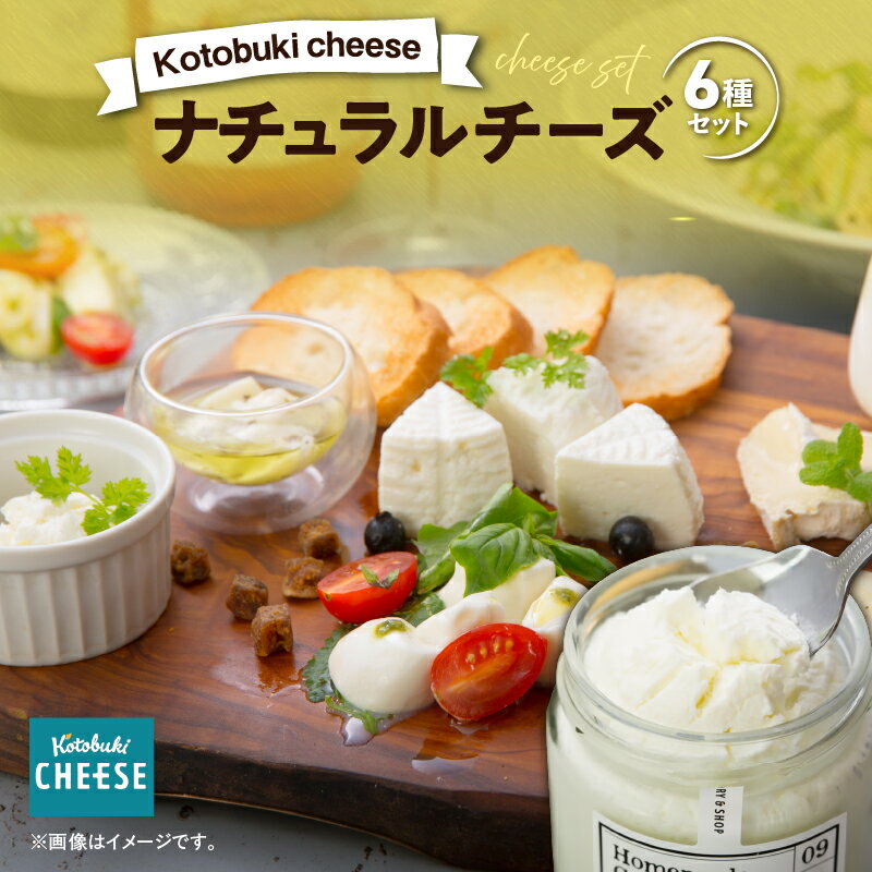 【ふるさと納税】チーズ 詰め合わせ kotobuki cheese ナチュラルチーズセット（モッツァレラ、カノヤ、リコッタ、モッツァレラハーブオイル漬け、ストリング、ギリシャヨーグルト）鹿屋産のチーズ！＜冷蔵＞【kotobuki cheese株式会社】