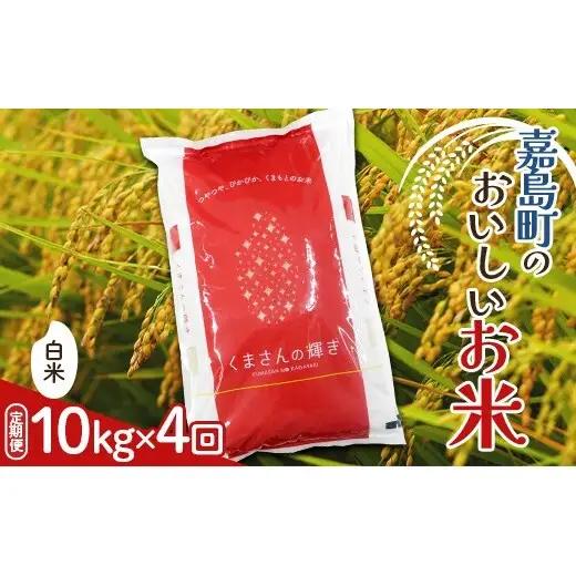 FK7-0273_【4カ月定期】【嘉島町産】くまさんの輝き 10kg 米 お米 コメ ごはん ご飯 食品 九州 熊本県 熊本 嘉島