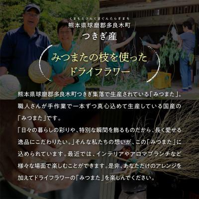 ふるさと納税 多良木町 TSUKIGI みつまた 50cm〜80cm 白枝 インテリア オブジェ |  | 03