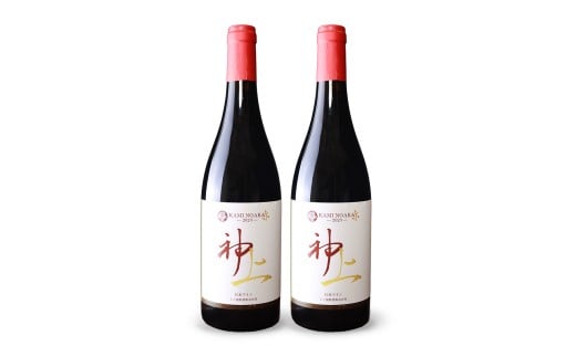 上ノ国ワイナリーの赤ワイン「上の赤2023」　750ml×2本　北海道ワイン　赤ワイン　家飲み　パーティー　贈り物　プレゼント　果実酒