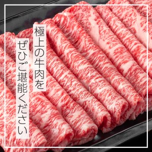 C0-01 ＜5等級＞鹿児島県産黒毛和牛ローススライス(計800g・400g×2パック) 【お肉の直売所 伊佐店】