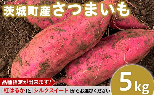 
233茨城町産さつまいも5kg（紅はるか・シルクスイート）【2022年12月～2023年1月頃発送予定】
