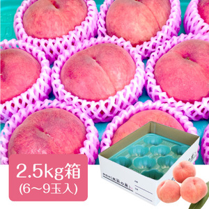 A-116【2025年7月より発送予定】※品種おまかせ※ 初夏の桃 約2.5kg【6～10玉】※2025年発送先行予約分※　農家直送　もも　桃