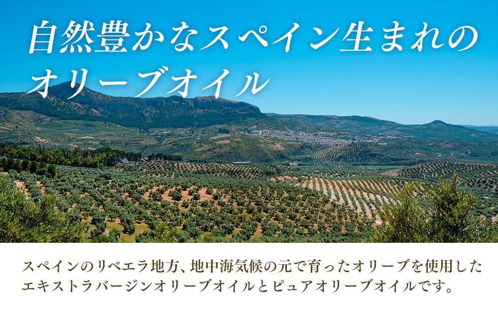 オリーブオイルセット 200ml 5本セット