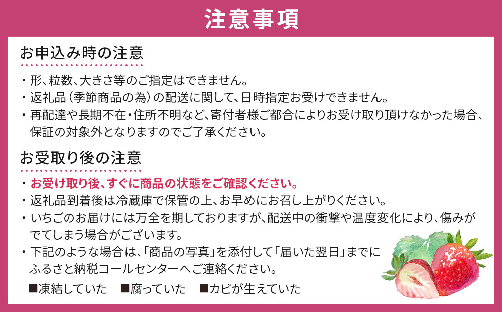 【角田市産地直送】完熟いちご「とちおとめ」合計約1kg(250g×4パック)