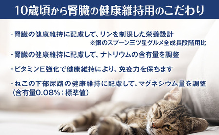 銀のスプーン三ツ星グルメ 香るお魚仕立て10歳から4種のアソート素材入り お魚レシピ 200g×14箱 ペットフード キャットフード ド 猫 ペット 小分け 個包装 ドライ ユニ・チャーム ペット