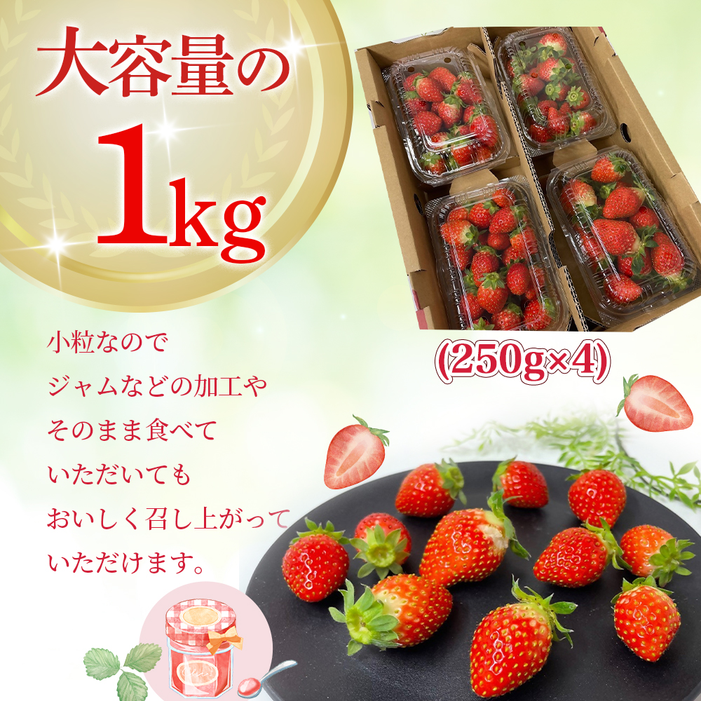 （小粒）農林水産大臣賞受賞農園からお届けする　訳アリ　かおり野　1kg（250ｇ×4Ｐ）/いちご　ISH-02