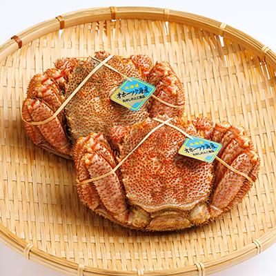 ふるさと納税 斜里町 北海道産　浜茹で毛ガニ　450g前後×2尾 |  | 02