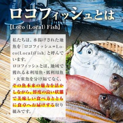 ふるさと納税 肝付町 漁師厳選!ロコフィッシュ(地魚) 下処理済 鮮魚 ボックス(約4〜5kg)　A78004 |  | 01
