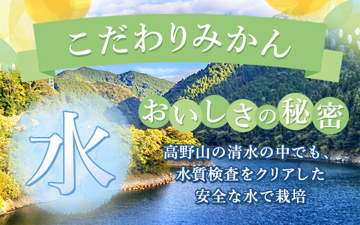 【まごころ手選別】【3ヶ月定期便】有田みかん 秀品 約3kg（S～Lサイズ混合）※2025年11月上旬頃から1カ月に1回（計3回）発送