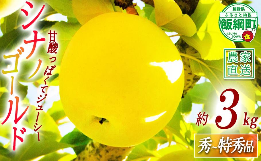 
シナノゴールド 秀～特秀3kg 令和4年度収穫分