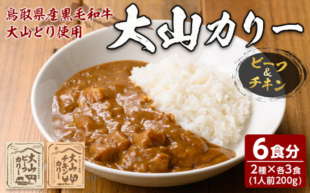 大山カリーセット(2種・計6個)鳥取県 境港市 カレーライス カレー ビーフカレー ビーフカリー チキンカレー チキンカリー 黒毛和牛 大山どり 鶏 鳥 ブランド鶏 本格 本格派 レトルト 国産 野菜【sm-AU001】【鳥取缶詰】