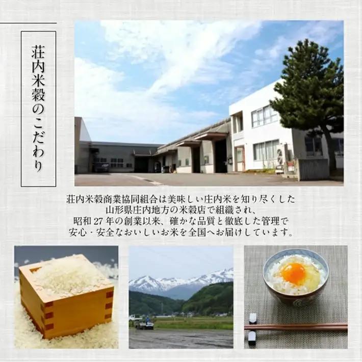 SA2957　令和7年産【精米】雪若丸　5kg×1袋 《農産物検査員おすすめの庄内米》 SY