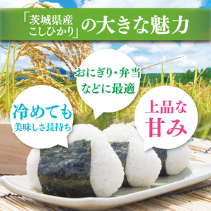 【数量限定】【10月より発送】【令和7年産】【３ヵ月定期便】美味追求 茨城県産こしひかり 5kg×3 【定期便 お米 ごはん こしひかり 精米 おにぎり ごはん 茨城県 水戸市 15キロ】(NA-2)