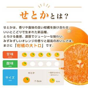 三代目の柑橘の大トロ【せとか】3kg【C31-6】【配送不可地域：離島】【1071620】