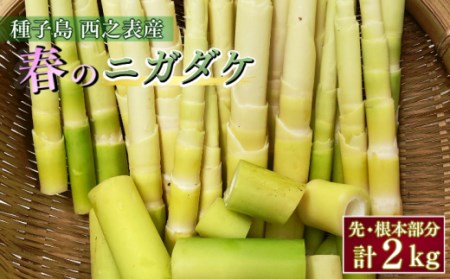 【 5月～6月 】 種子島 産 ニガダケ (根本部分と先部分) 計2kg　NFN498【250pt】  