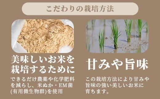 【定期便 3回】3ヶ月連続でお届け 星の美しゃ・於茂登のひかり・ひとめぼれ 5kg が毎月交互に届く(合計15kg)  石垣島産 【 日本一早い新米の産地 石垣 ふるさと納税 沖縄県 石垣市 石垣島 