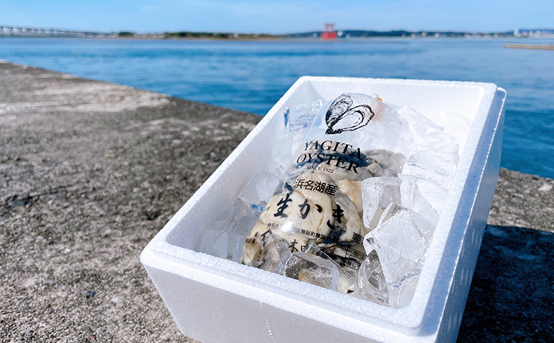 【2025年1月より順次発送】浜名湖産かき大粒むき身1kg（加熱用）先行予約  牡蠣 海鮮 魚介 国産 浜名湖産 貝付き 生牡蠣 焼き牡蠣 蒸し牡蠣 冷蔵 産地直送